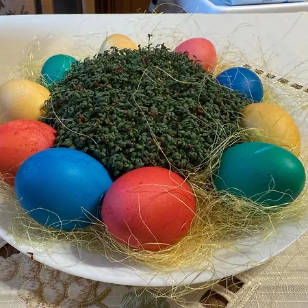 B&B Osrodek Gwiazda Morza 3*