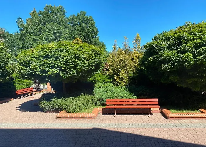 Osrodek Gwiazda Morza Bed and breakfast Grzybowo (West Pomeranian)